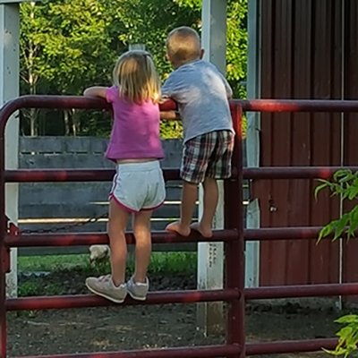 maple side farm kids 2-sq maple side farm kids